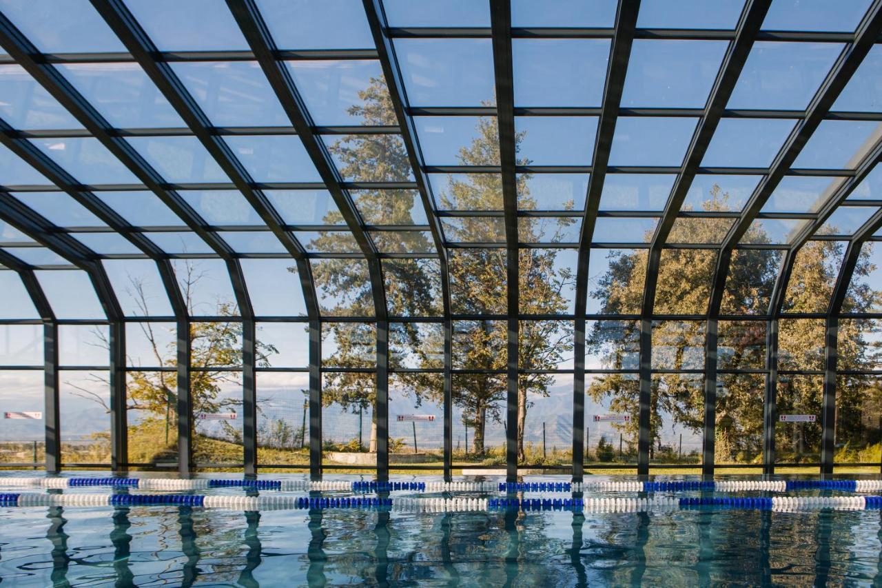 Tsinandali Estate, A Radisson Collection Hotel Ngoại thất bức ảnh Swimming pool with a retractable roof