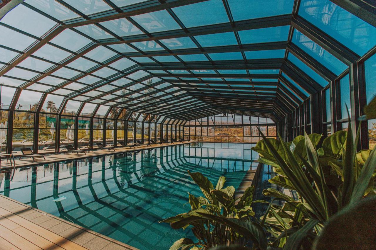 Tsinandali Estate, A Radisson Collection Hotel Ngoại thất bức ảnh Swimming pool at the hotel